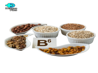 Organic Ingredients